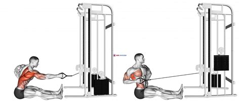 Cable One Arm Twisting Seated Row Home Gym Review