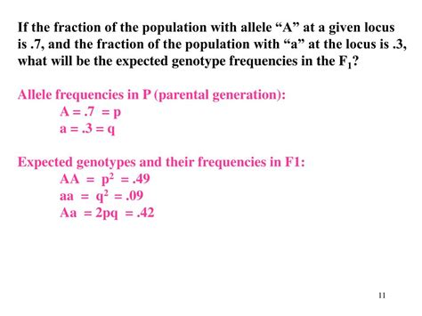 Ppt Given Genotype Frequencies Calculate Allele Frequencies In A