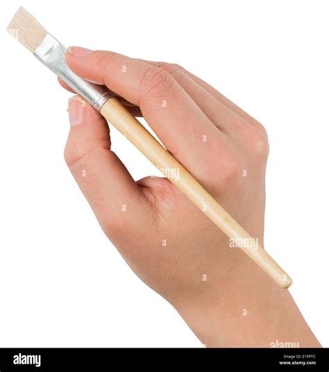 Hand Holding Paintbrush Stock Photo Alamy