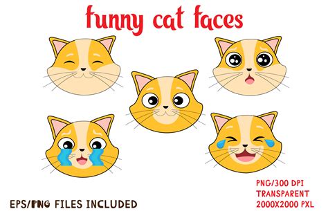 Funny Cat Faces Bundle Graphic by madina dossym art · Creative Fabrica