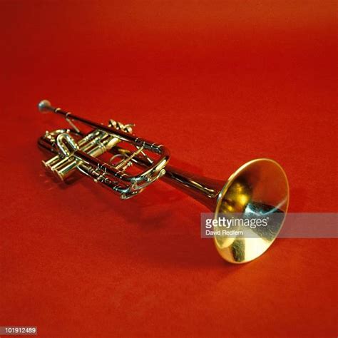 10,801 Vintage Trumpet Stock Photos, High-Res Pictures, and Images ...