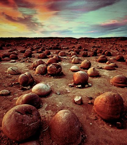 Anza-Borrego Desert Sculptures | A Trish Out of Water