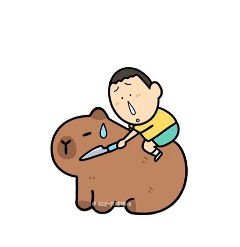 Ghim Của Pincy Trên 𝙎𝙝𝙞𝙣𝙘𝙝𝙖𝙣 🫑 Gấu Con