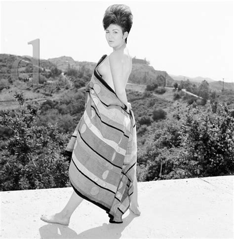 1960s Ron Vogel Negative Nude Brunette Pinup Girl Toni Dale Cheesecake V303280 EBay