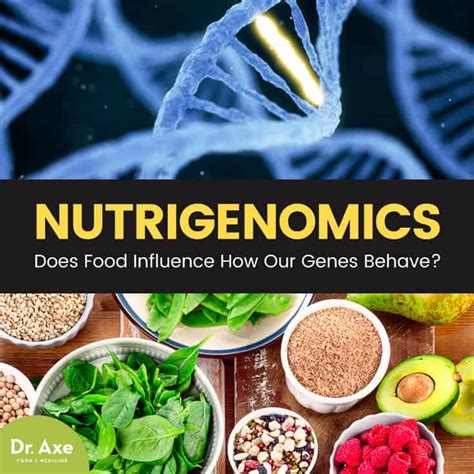 Nutrigenomics Does Food Influence How Our Genes Behave Dr Axe