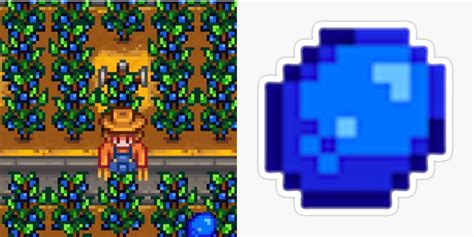 Stardew Valley: The Best Summer Crops