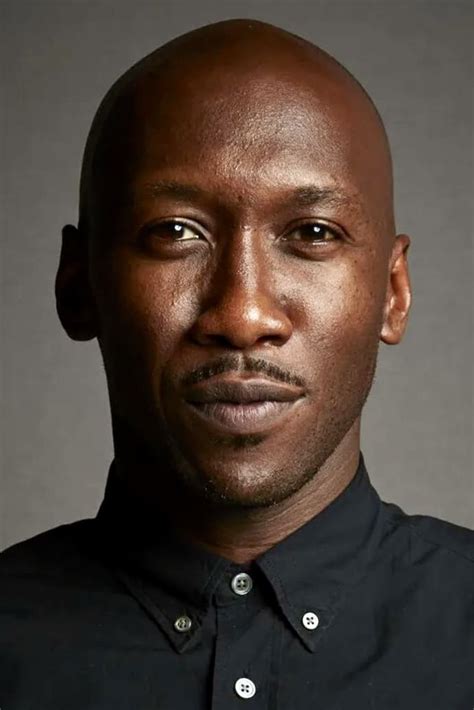 Mahershala Ali Profile Images — The Movie Database Tmdb