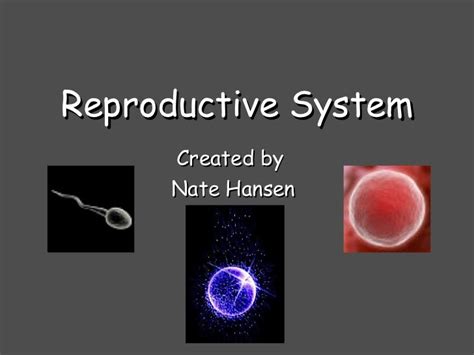 Reproductive System Ppt