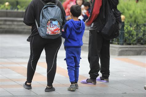 Casos De Trabajo Infantil Ha Identificado El Mies