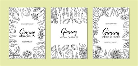 Premium Vector Ginseng Vertical Design Hand Drawn Botanical Vector