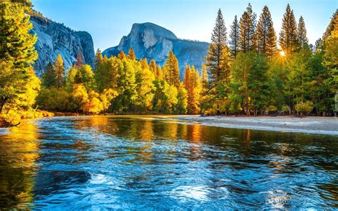 Roz Wietlone Drzewa Nad Rzek Merced River