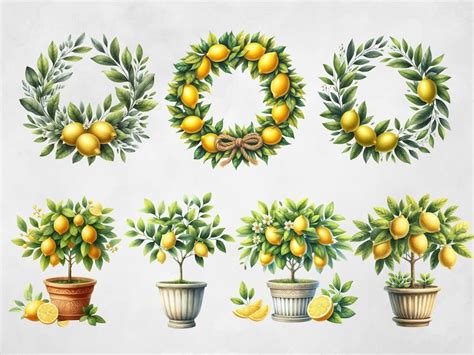 Lemon Tree Watercolor Clipart Tiles And Lemons Clip Art Mediterranean