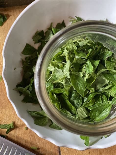 How To Make An Oregano Tincture With Fresh Herbs Artofit