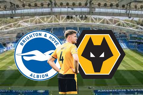 7 THINGS WE LEARNED FROM BRIGHTON V WOLVES Always Wolves