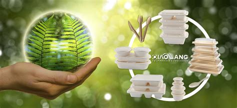 Qiaowang Pioneering Sustainable Food Packaging Solutions For A Greener