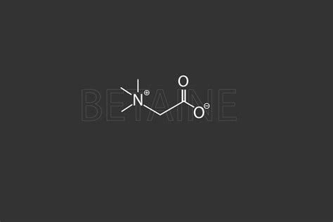 Betaína Molecular Esquelético Químico Fórmula 36465249 Vector En Vecteezy