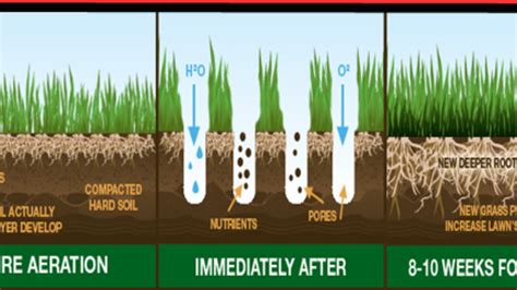 Core Aeration And Overseeding 1200x675 Alternative Earthcare