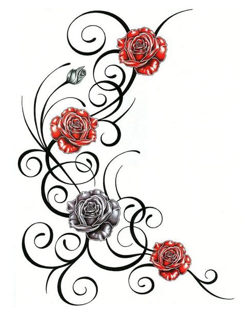 3 Rose Tattoo Sketch Tribal Rose Tattoos Vine Tattoos Rose Tattoos