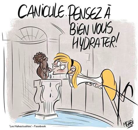 La Canicule Fait Beaucoup Rire Les Internautes