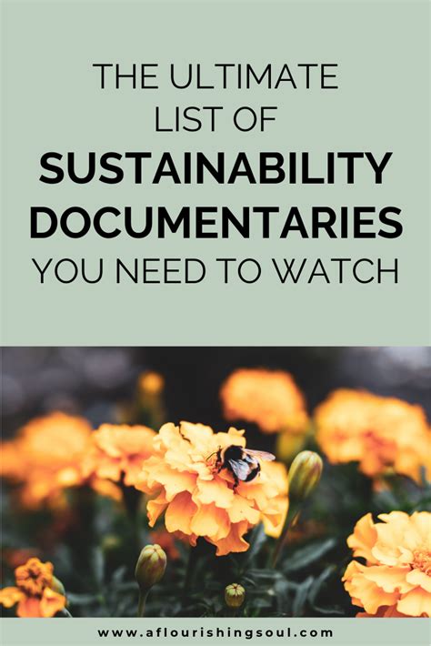 The Best Sustainability Documentaries Artofit