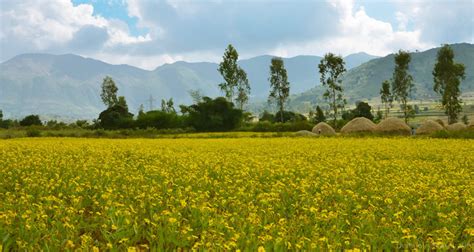 Araku Valley Vizag (Entry Fee, Timings, Best time to visit, Images ...