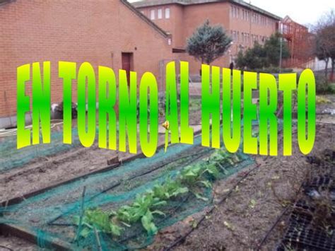 El Huerto Escolar Ppt