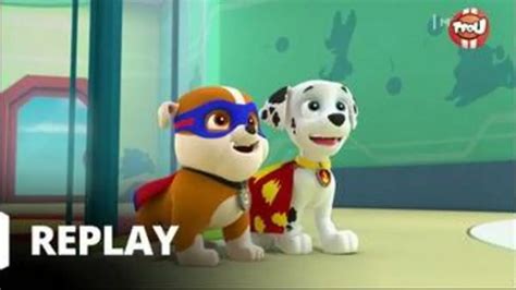 Replay TFou Du 01 02 2022 Paw Patrol La Pat Patrouille La Pat