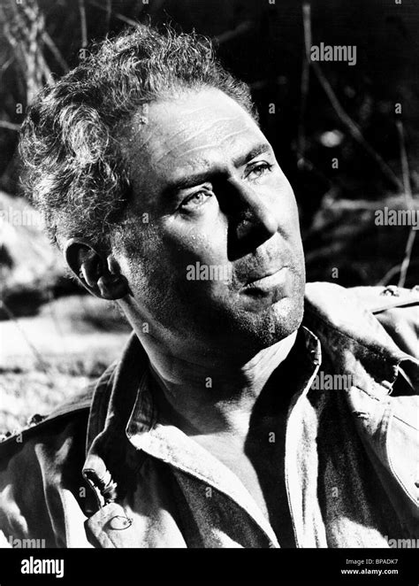 Anthony Quayle Actor 1945 Stock Photo Alamy