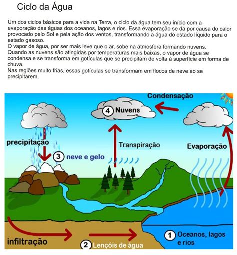 Ciclo Da Agua Atividades 5 Ano