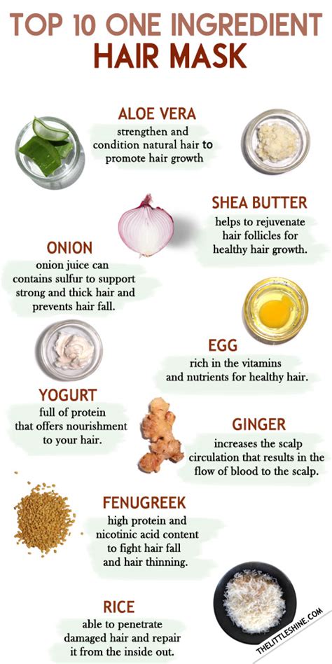 Top 10 One Ingredient Hair Mask For Hair Growth The Little Shine