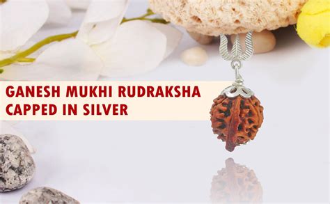 Buy Saubhagya Global Lab Certified Siddha Ganeshji Rudraksha From Nepal