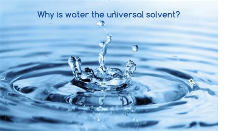 What Makes Water A Universal Solvent Detailed