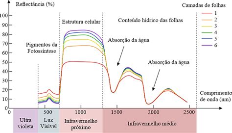 Entenda O Que Sensoriamento Remoto