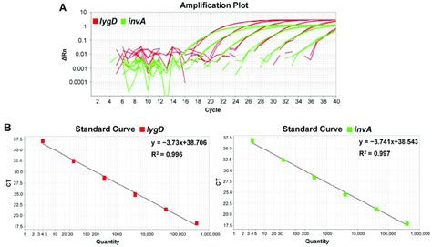 Sensitivity And Standard Curves Of The Developed Duplex Taqman