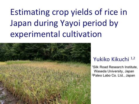 Estimating Crop Yields Of Rice During Yayoi Period By Experimental Cu…