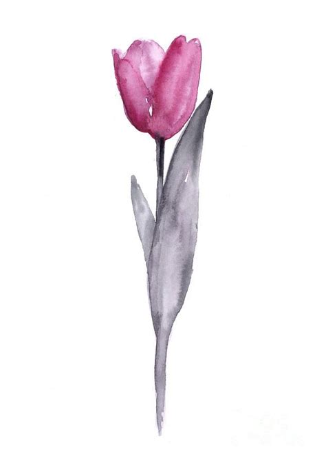 Purple Tulip Watercolor Art Print Painting By Joanna Szmerdt In