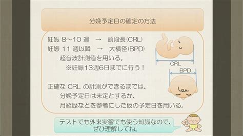 分娩予定日の計算と確定 Youtube