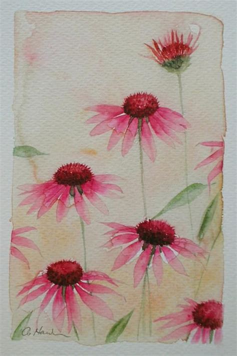 Watercolour Painting Echinacea Original Art An Original Watercolour