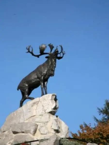 M Morial Terre Neuvien Monument Beaumont Hamel