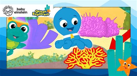 The Colors Of Coral Ocean Explorers Baby Einstein Cartoon For