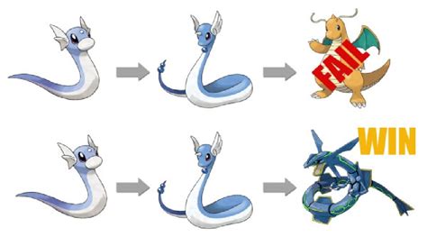 Dratini Evolution