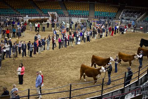 National Western Stock Show 2024 - carmon cynthie