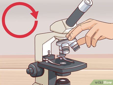 3 Ways to Focus a Microscope - wikiHow