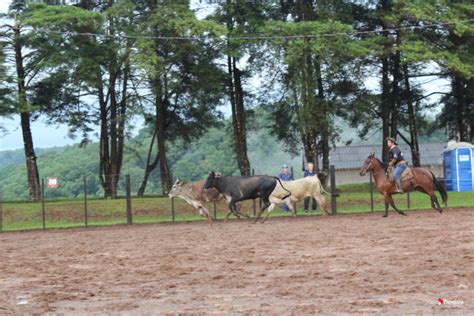 Rodeio Internacional De Tapejara Iniciam As Primeiras Provas R Dio