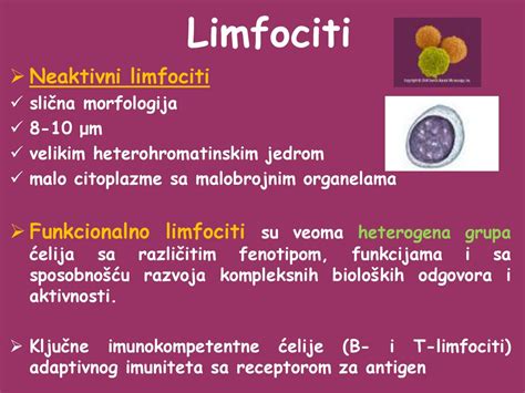 Organi i ćelije imunskog sistema - ppt κατέβασμα