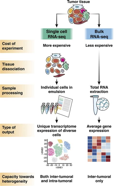 Comparison Of Scrna Seq And Bulk Rnaseq Download Scientific Diagram