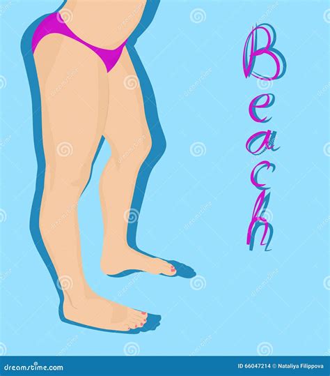 Naked Female Legs Stock Vector Illustration Of Legs 66047214