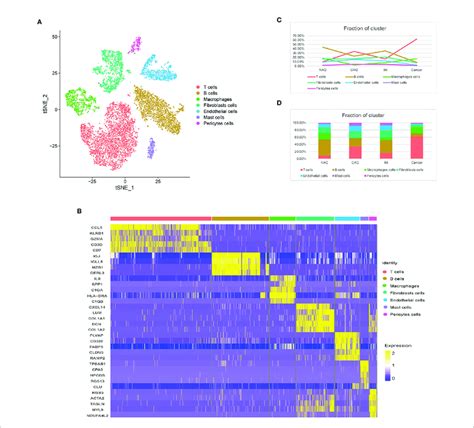 Distinct Tme Cell Populations And Expression Signatures A Tsne Download Scientific Diagram