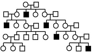 Solved Each Of The Following Two Pedigrees Represents A Chegg