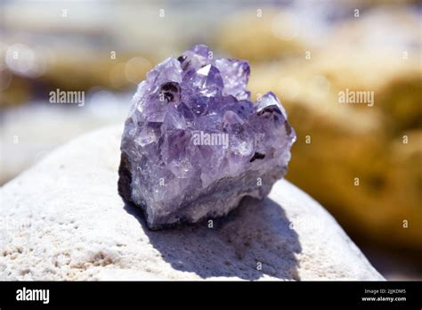 A Beautiful Amethyst Druze Lies On A Stone A Splice Of Purple Crystals